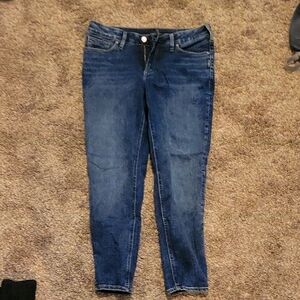 Women's Silver Jeans, Suki Skinny